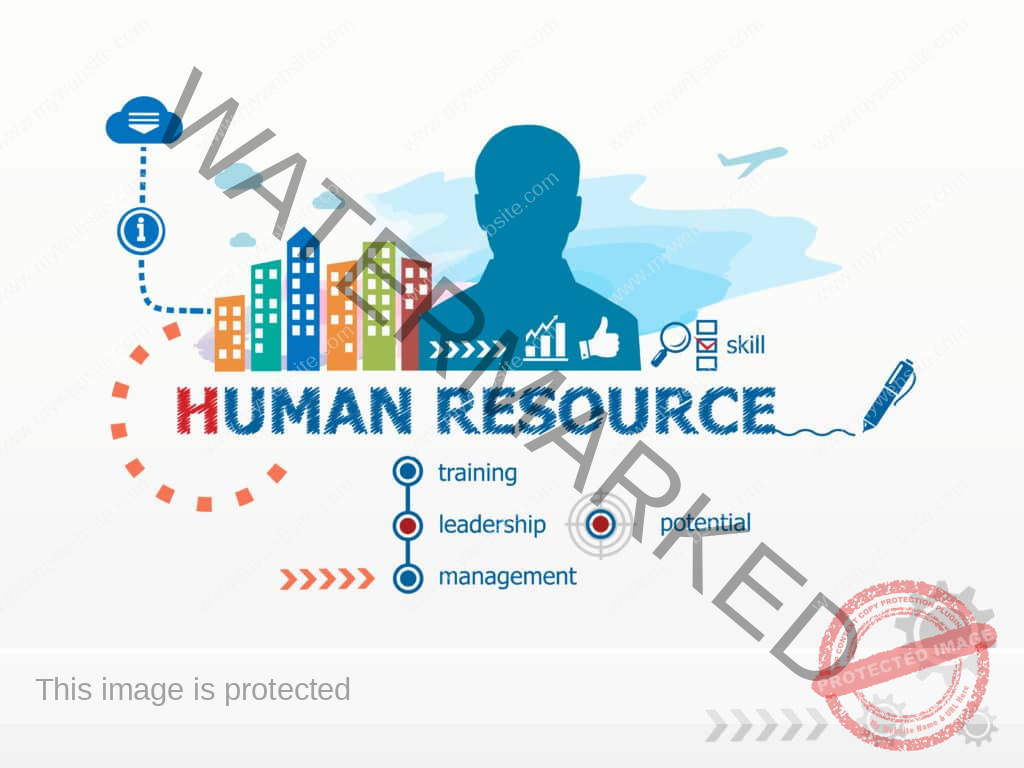 Human Resource Management system -taction