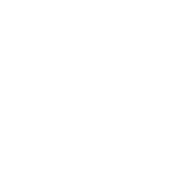 electric-vehicle