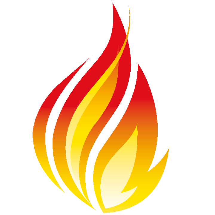 icon-fhir-Taction-Software